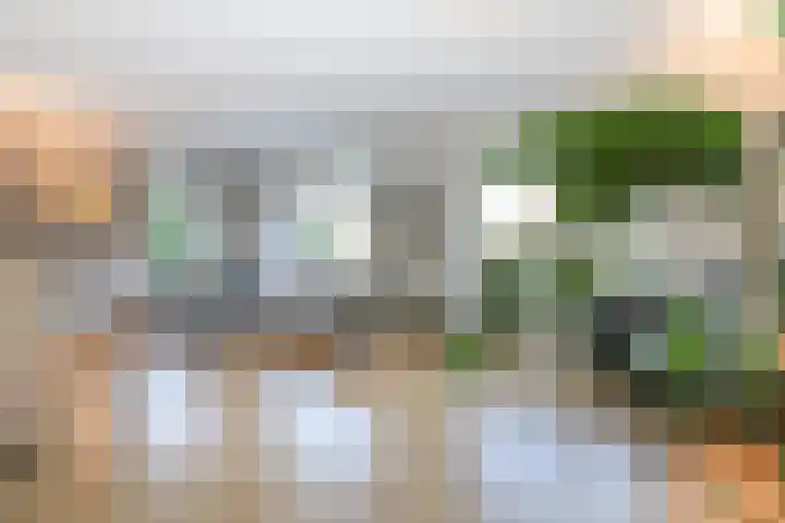 Voorweg 60 Oostvoorne thumbnail 21