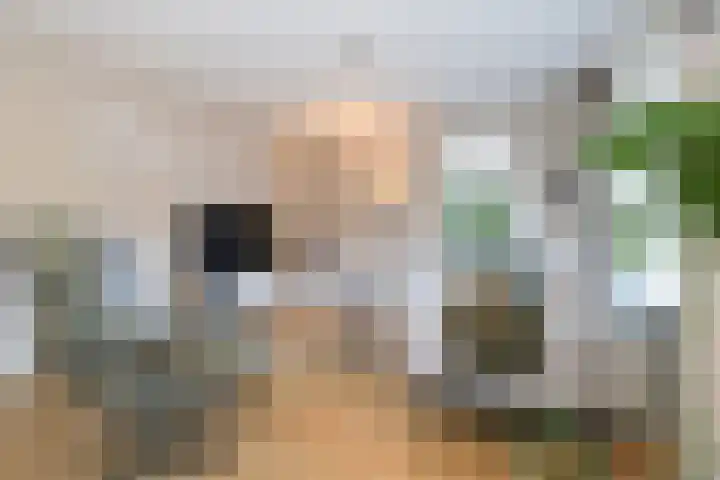 Voorweg 60 Oostvoorne thumbnail 23