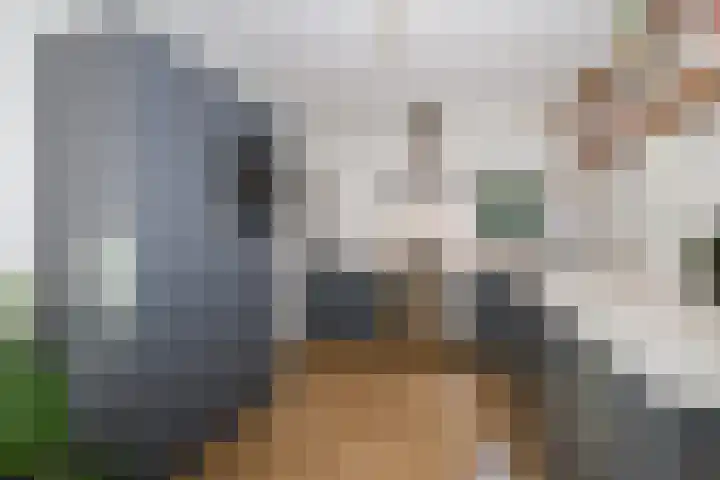 Voorweg 60 Oostvoorne thumbnail 28
