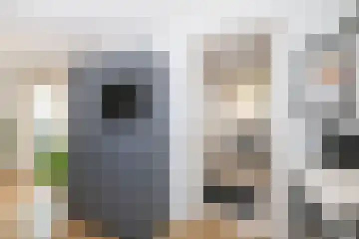 Voorweg 60 Oostvoorne thumbnail 32