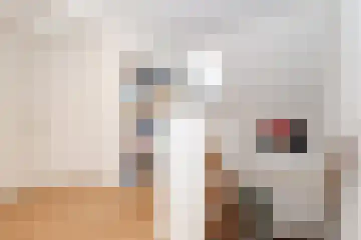 Voorweg 60 Oostvoorne thumbnail 35