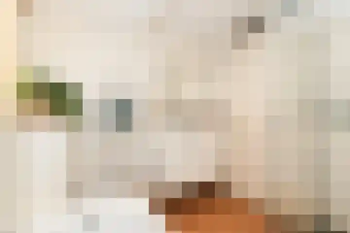 Voorweg 60 Oostvoorne thumbnail 37