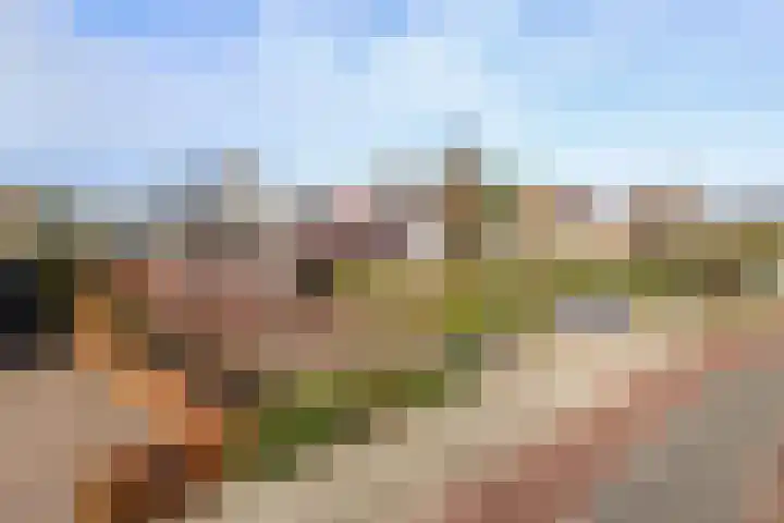 Voorweg 60 Oostvoorne thumbnail 5