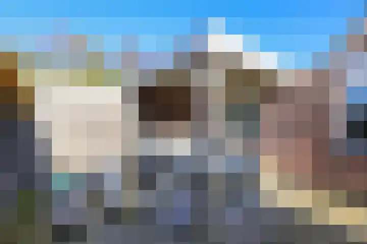 Voorweg 60 Oostvoorne thumbnail 55