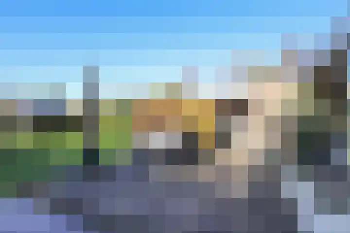 Voorweg 60 Oostvoorne thumbnail 57