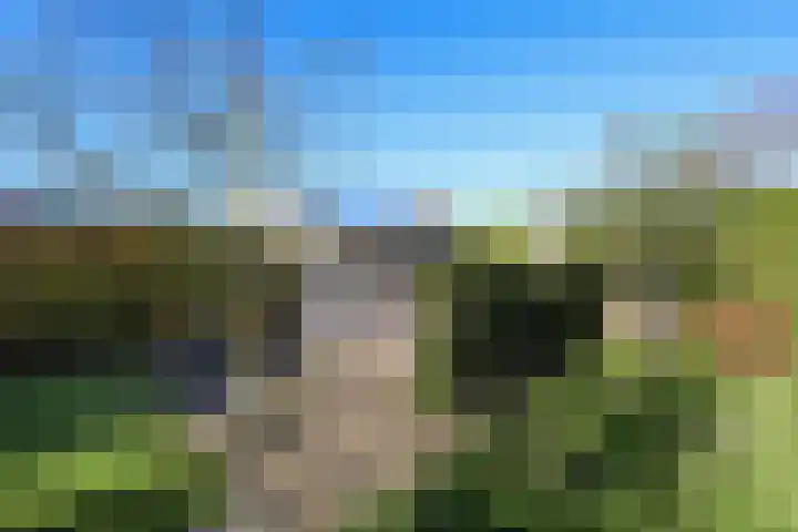 Voorweg 60 Oostvoorne thumbnail 60