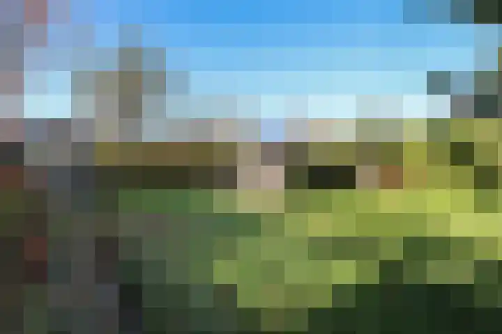 Voorweg 60 Oostvoorne thumbnail 63