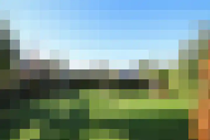 Voorweg 60 Oostvoorne thumbnail 64