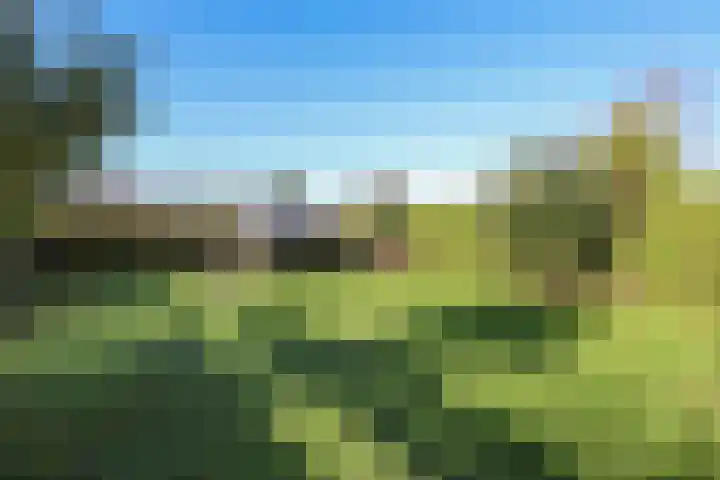 Voorweg 60 Oostvoorne thumbnail 65