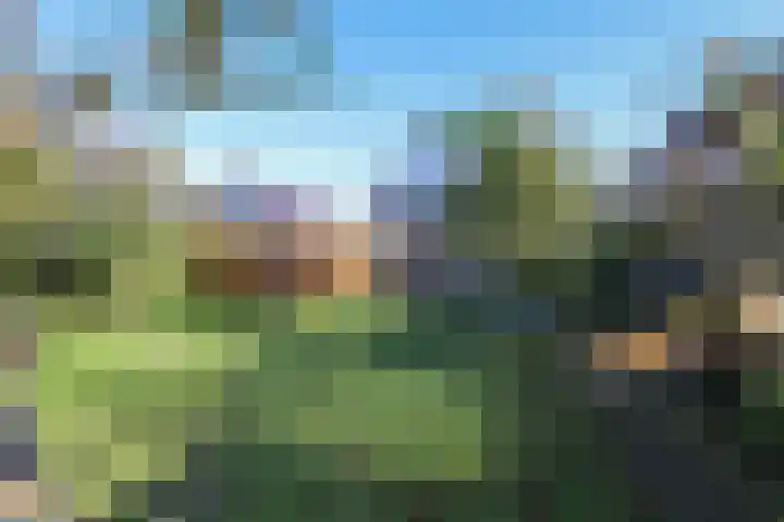 Voorweg 60 Oostvoorne thumbnail 66