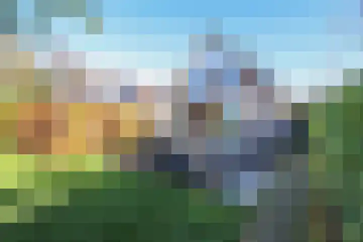 Voorweg 60 Oostvoorne thumbnail 69