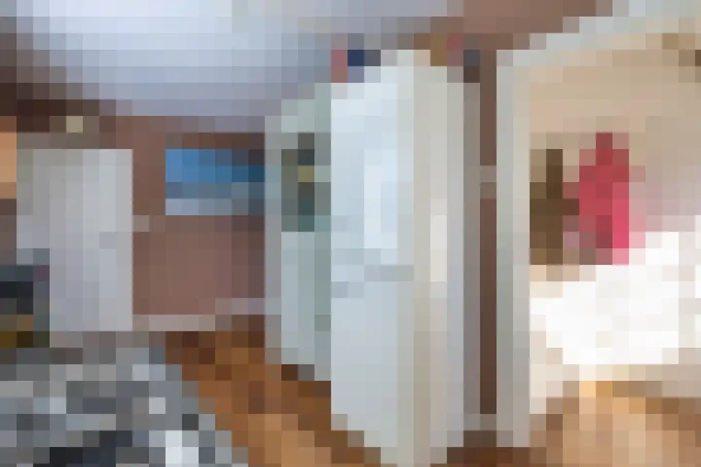 Voorweg 61 Schoorl thumbnail 10