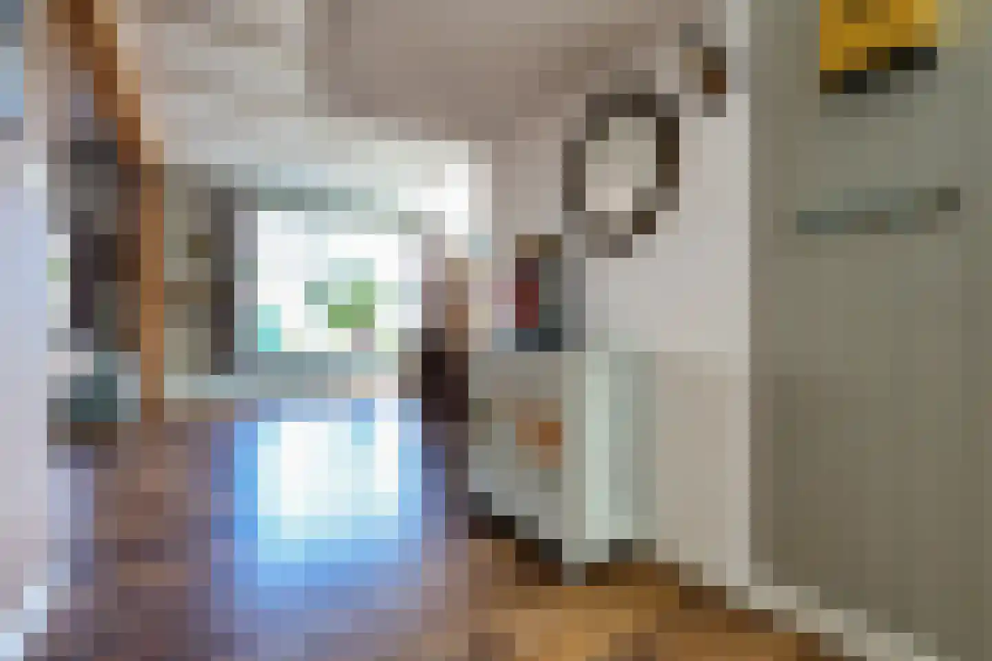 Voorweg 61 Schoorl thumbnail 11