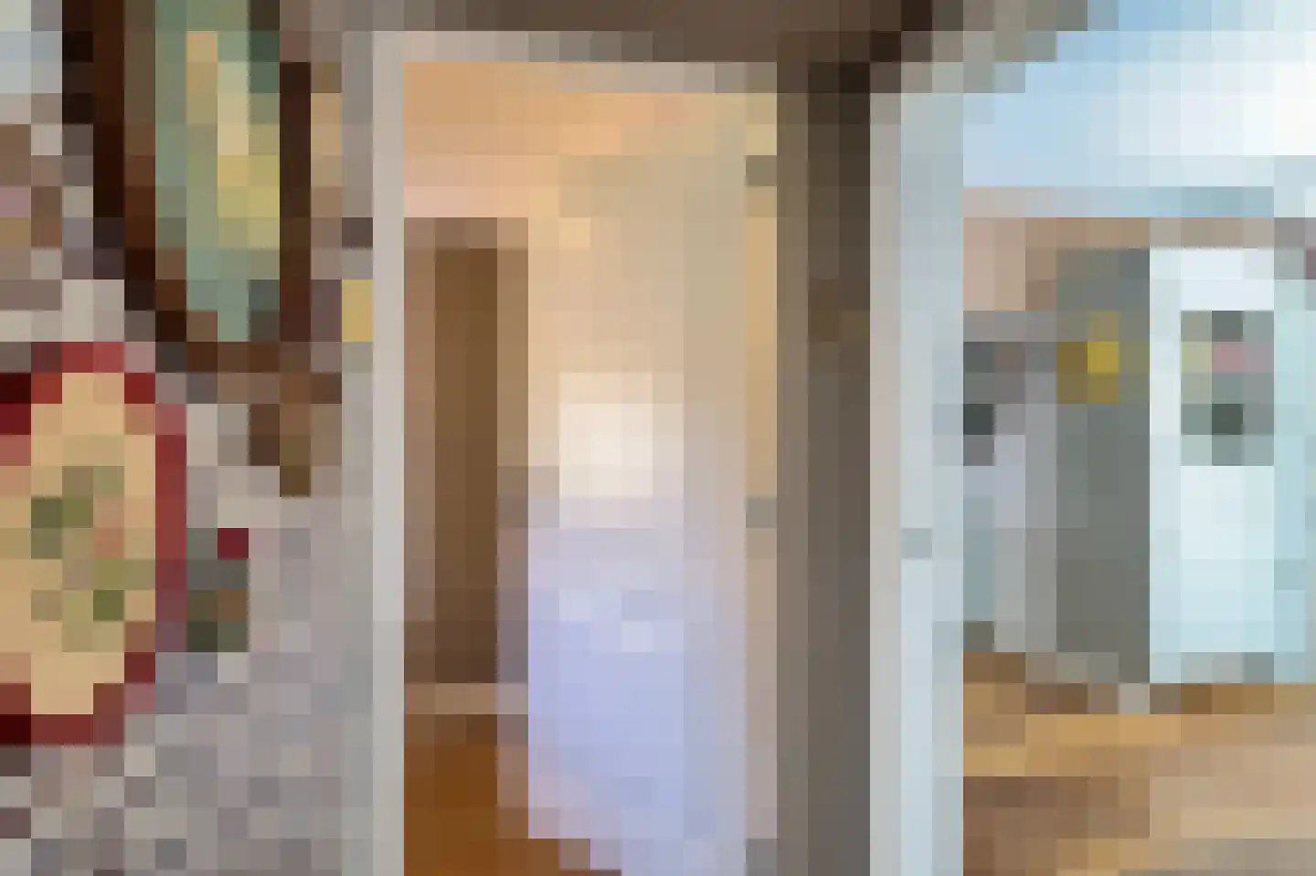 Voorweg 61 Schoorl thumbnail 16