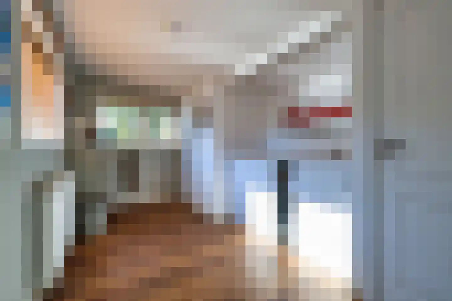 Voorweg 61 Schoorl thumbnail 20