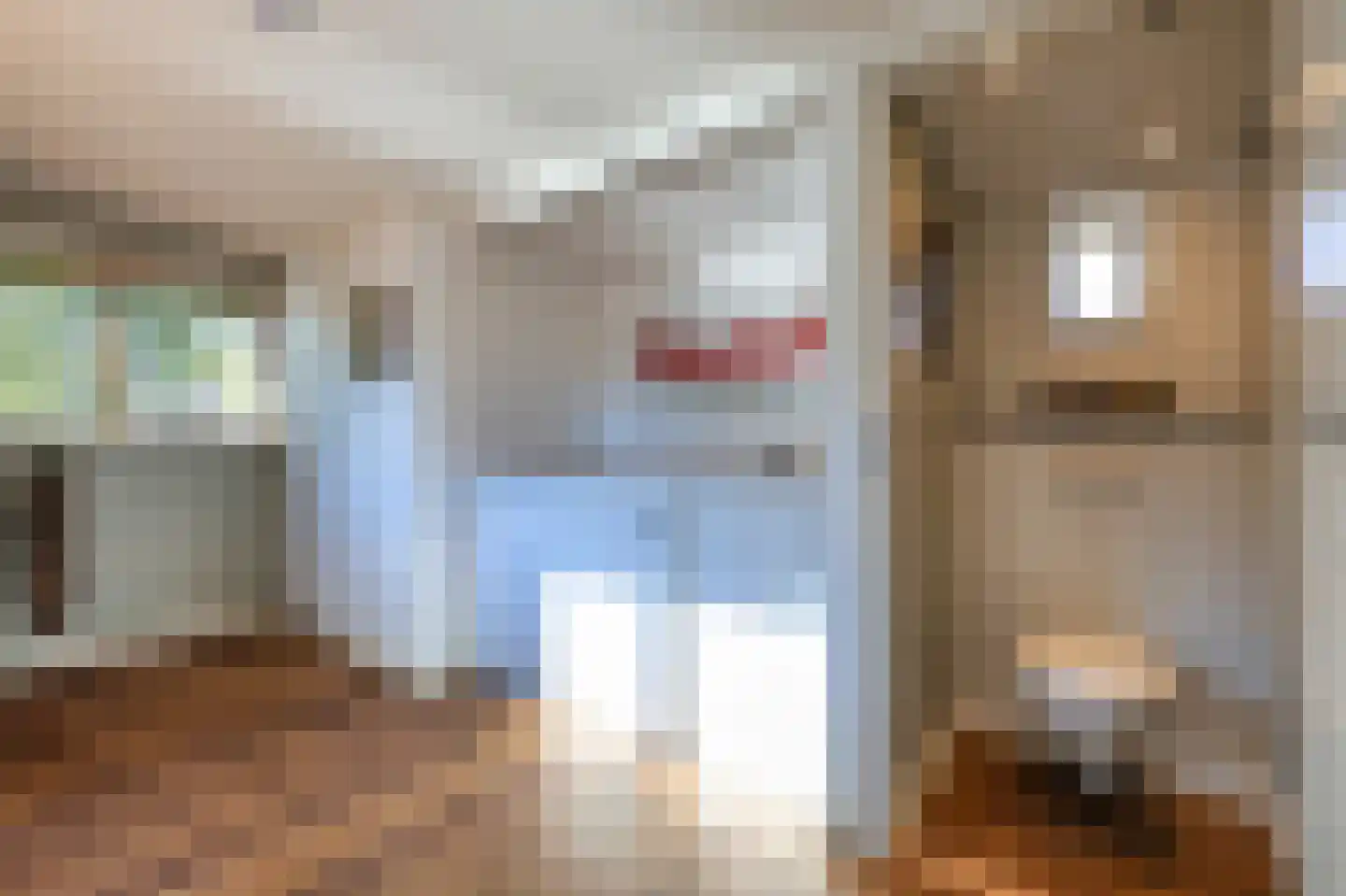 Voorweg 61 Schoorl thumbnail 21