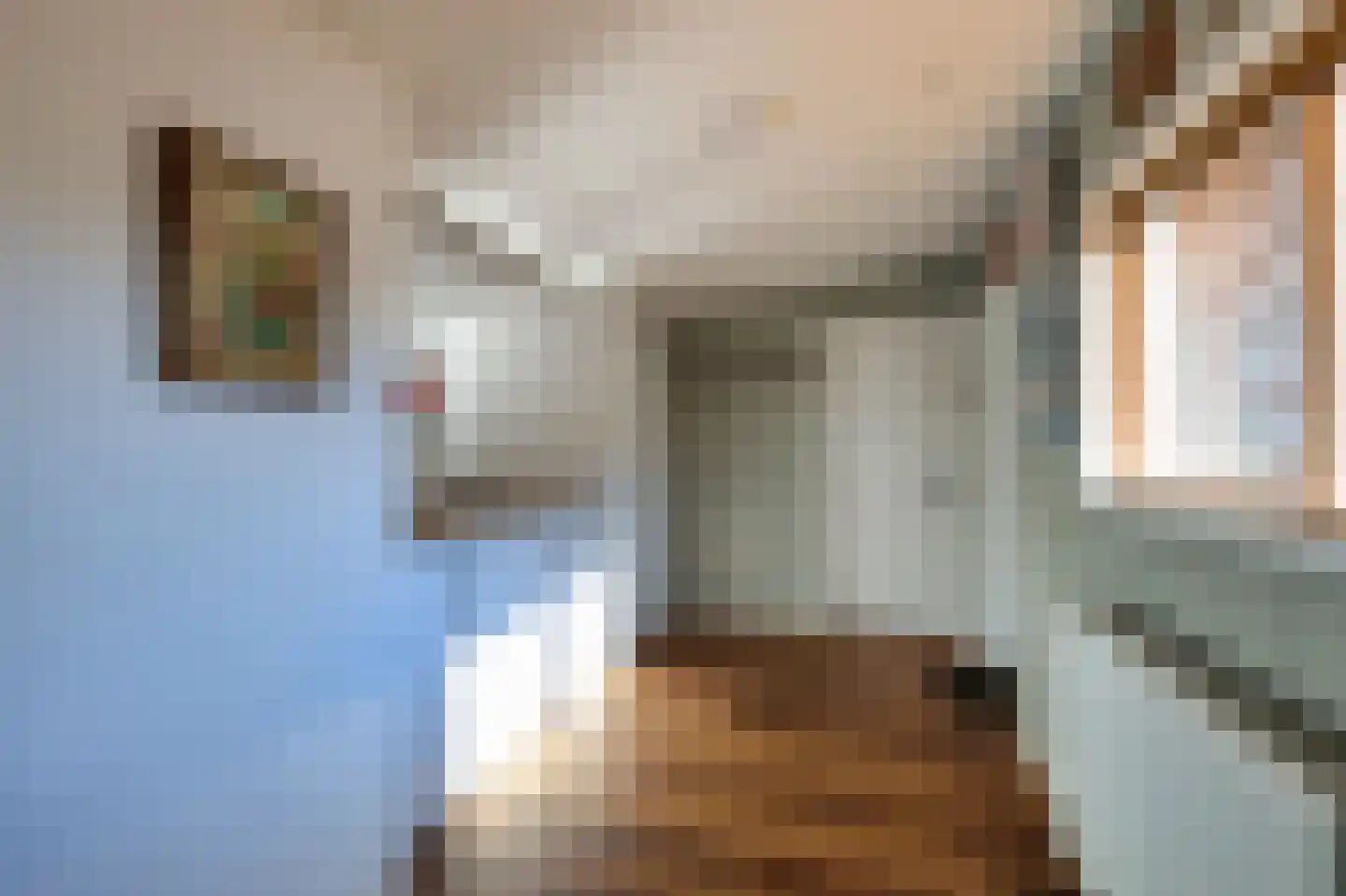 Voorweg 61 Schoorl thumbnail 22