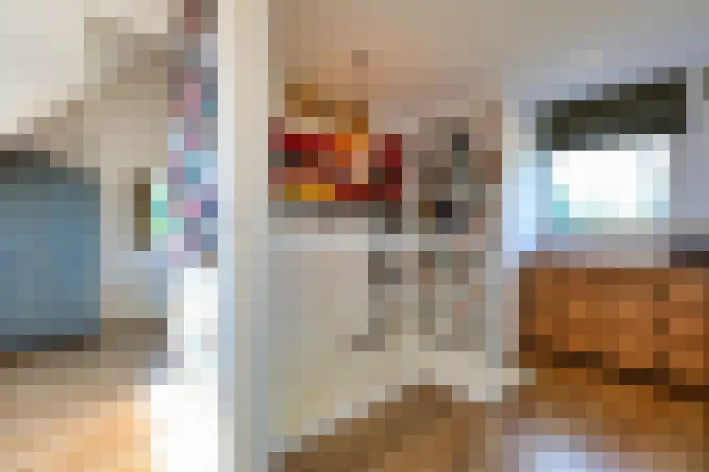 Voorweg 61 Schoorl thumbnail 24