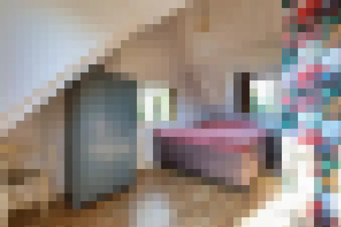 Voorweg 61 Schoorl thumbnail 25