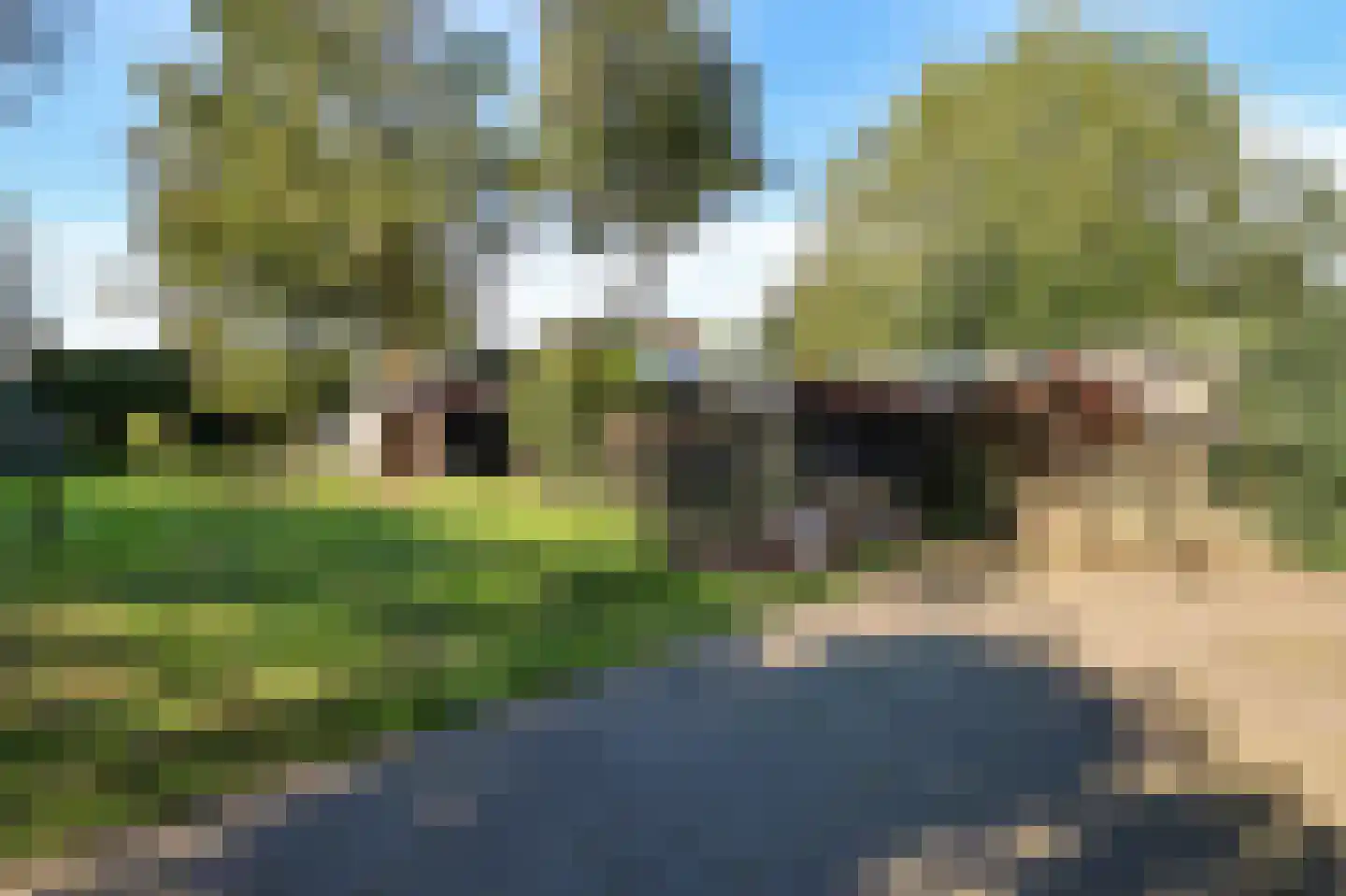 Voorweg 61 Schoorl foto 3