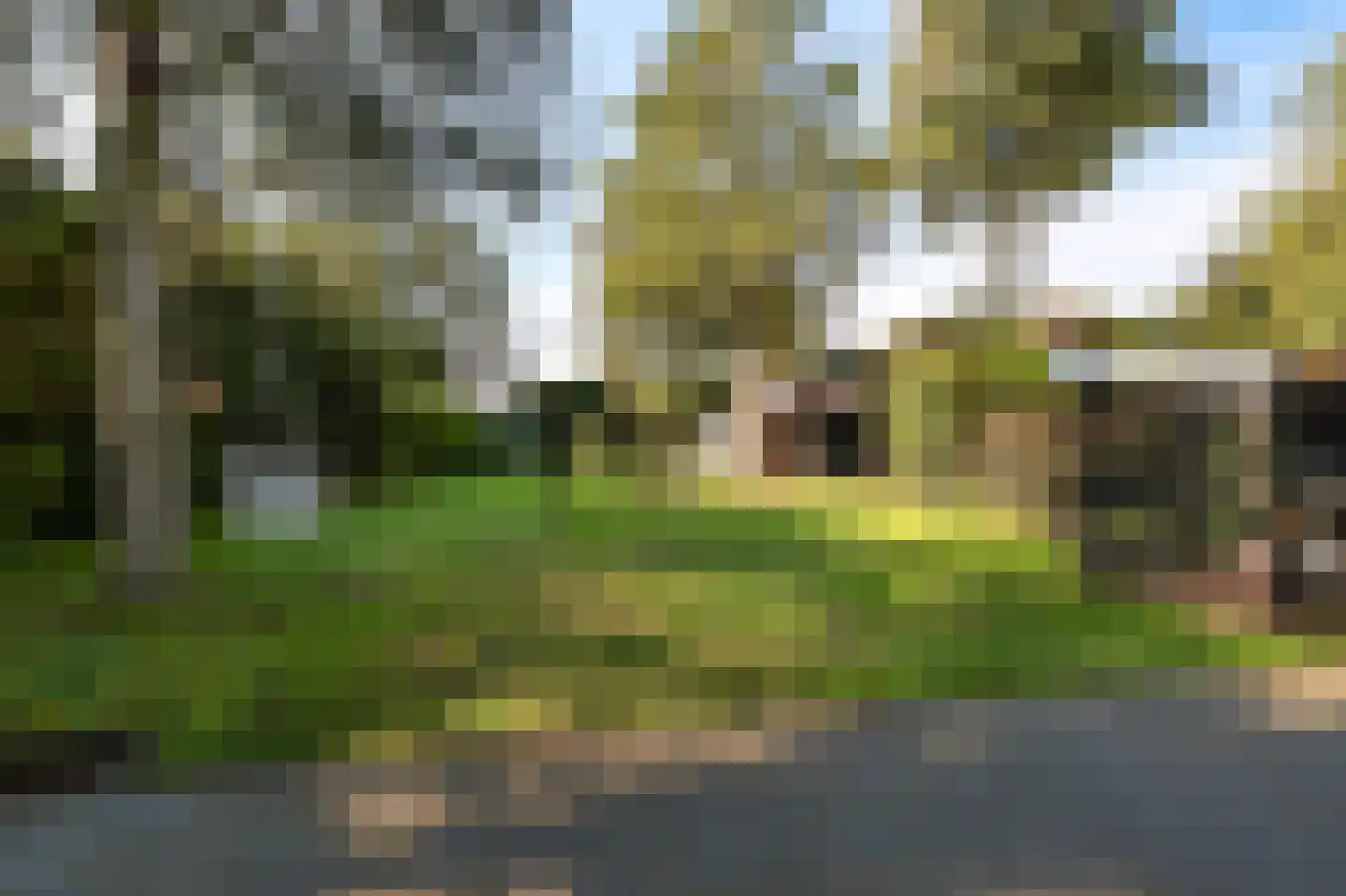 Voorweg 61 Schoorl thumbnail 31