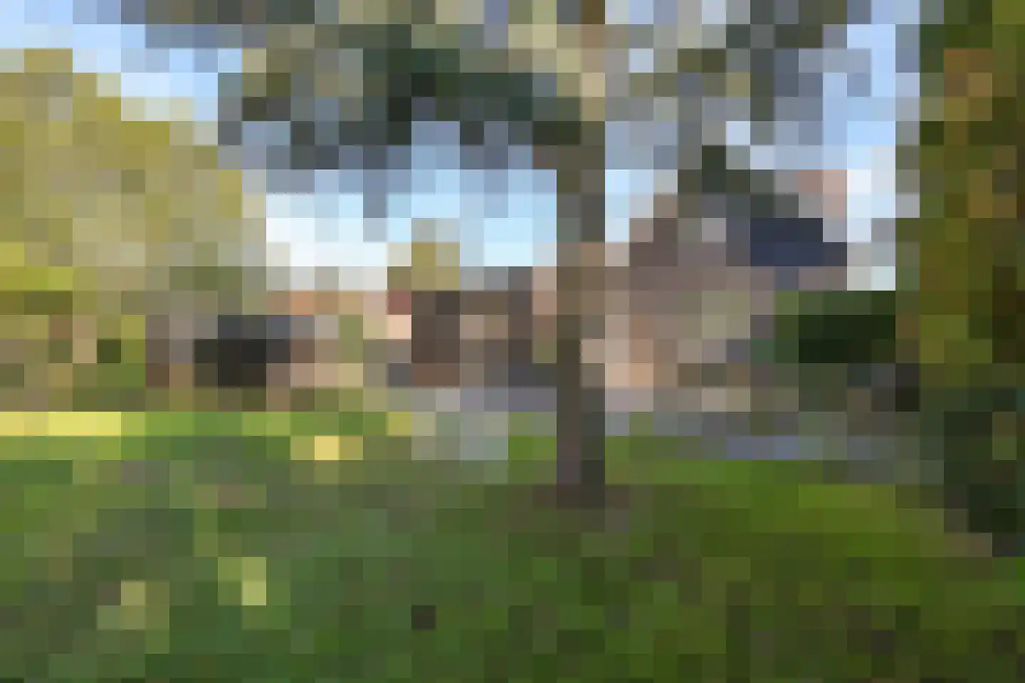 Voorweg 61 Schoorl thumbnail 4