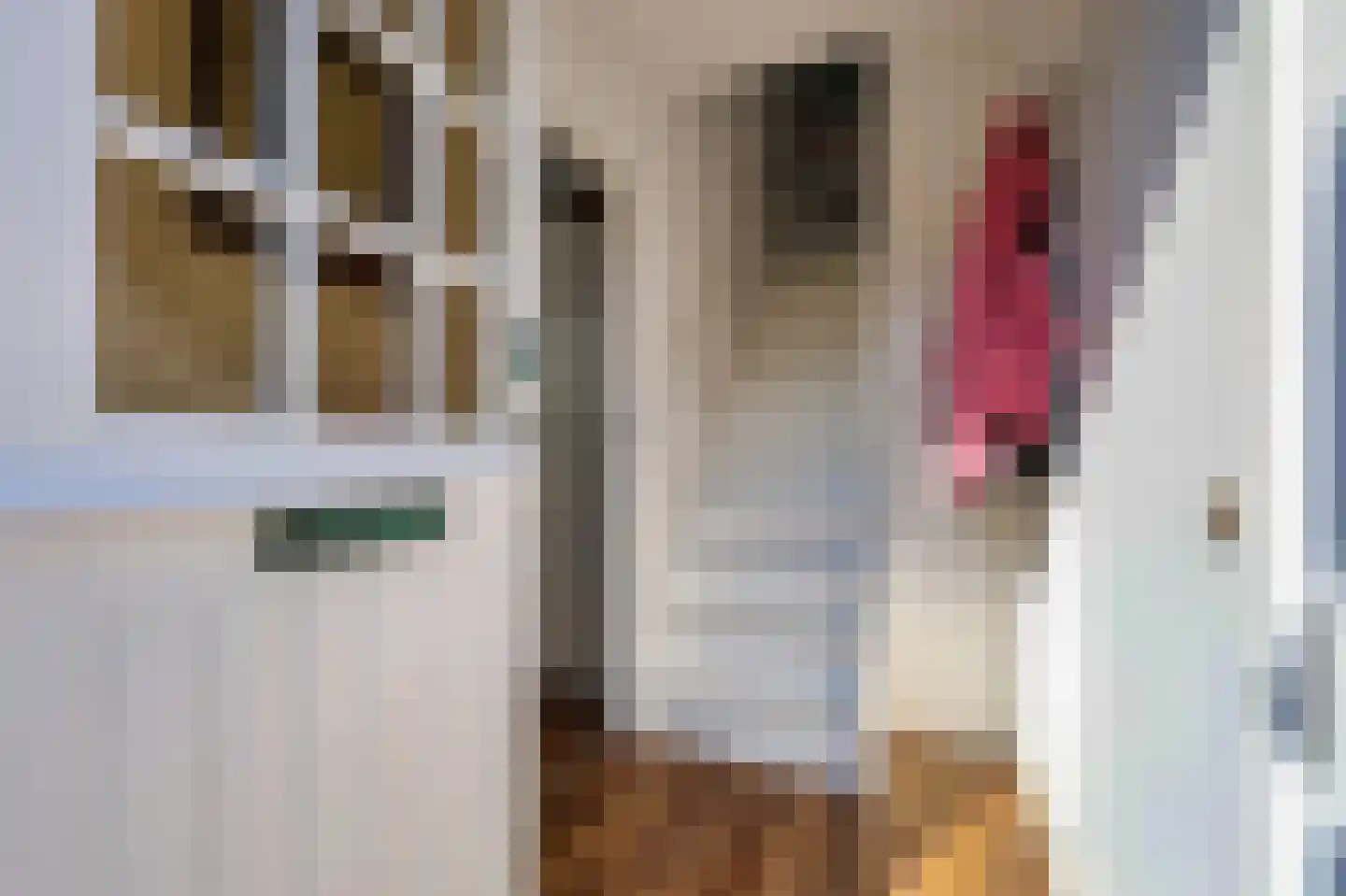 Voorweg 61 Schoorl thumbnail 6