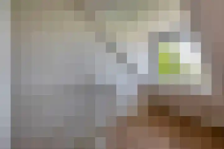 Voorweg 63 Hazerswoude-Dorp thumbnail 28