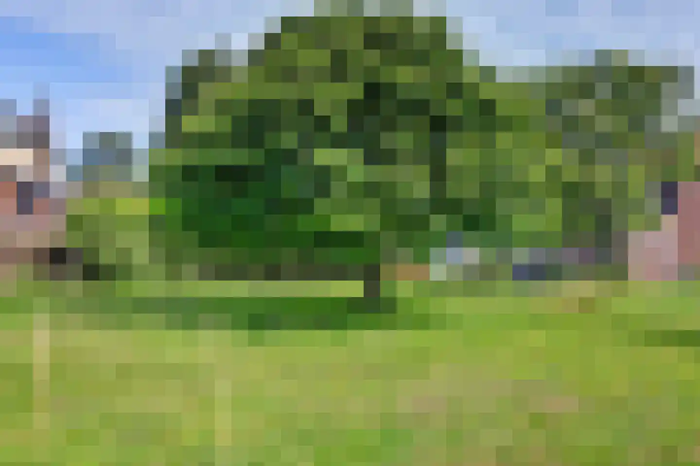 Voorweg 7 a Oostvoorne thumbnail 42