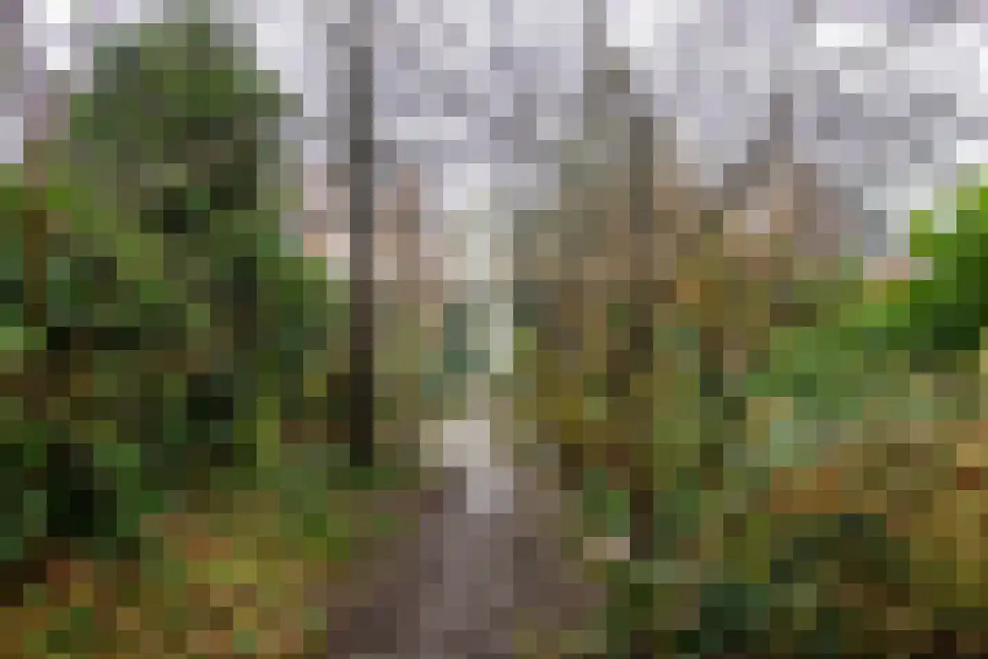Voorweg 83 Heemstede thumbnail 22