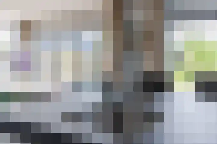 Voorweg 85 Schoorl thumbnail 19