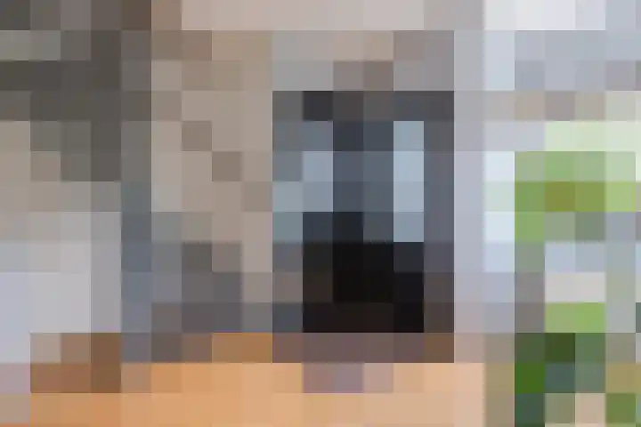 Voorweg 85 Schoorl thumbnail 22