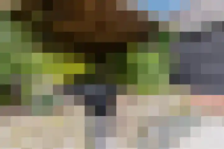 Voorweg 85 Schoorl thumbnail 42