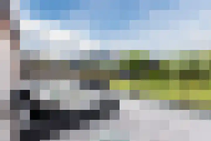 Voorweg 85 Schoorl thumbnail 43