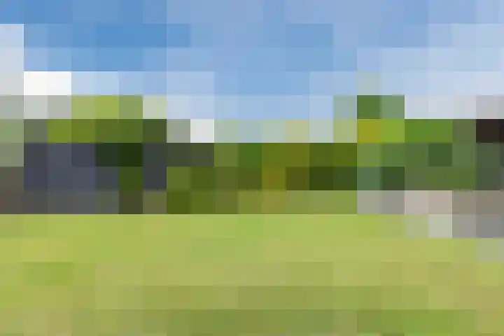 Voorweg 85 Schoorl thumbnail 46