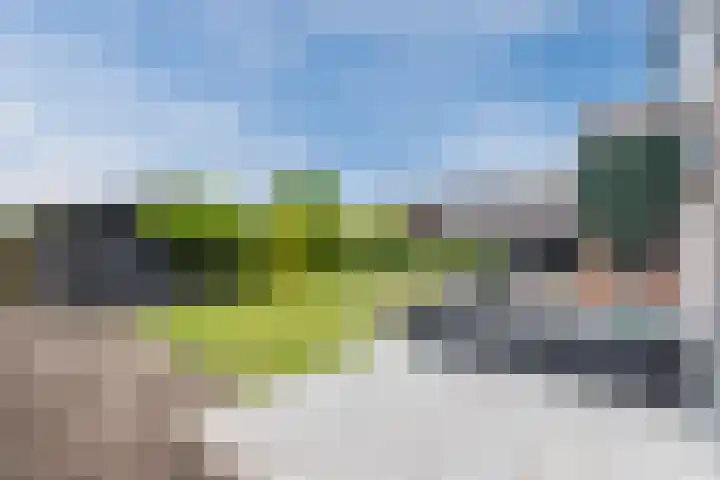 Voorweg 85 Schoorl thumbnail 47