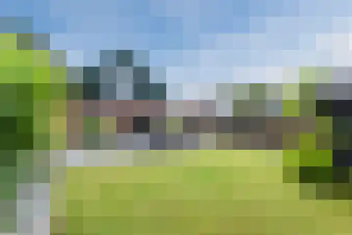 Voorweg 85 Schoorl thumbnail 49