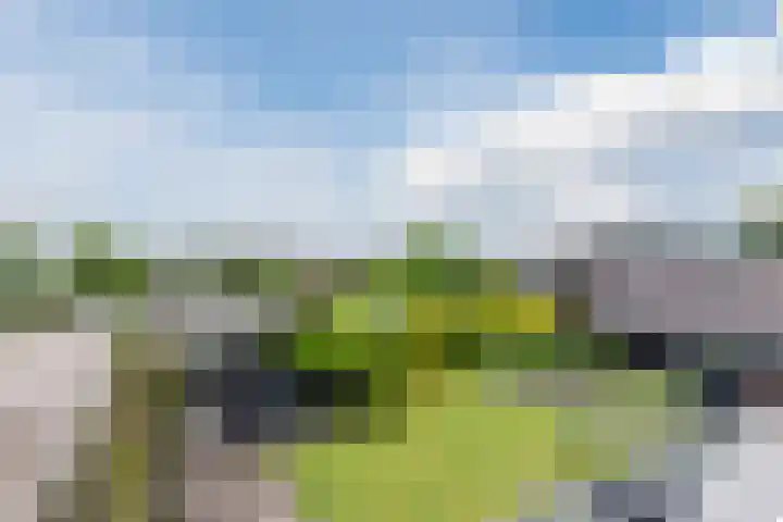 Voorweg 85 Schoorl thumbnail 50