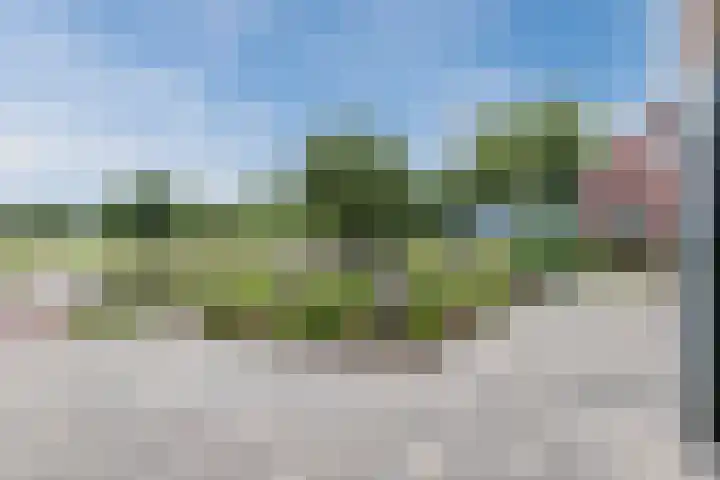 Voorweg 85 Schoorl thumbnail 6