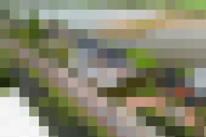 Voorweg 97 E Noorden thumbnail 45