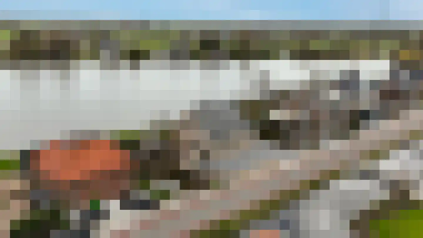 Voorweg 99 Noorden thumbnail 56