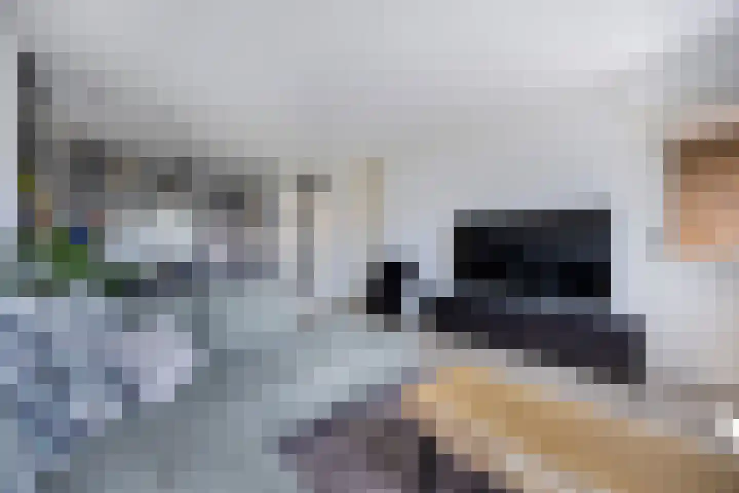 Voorweide 11 Castricum thumbnail 11