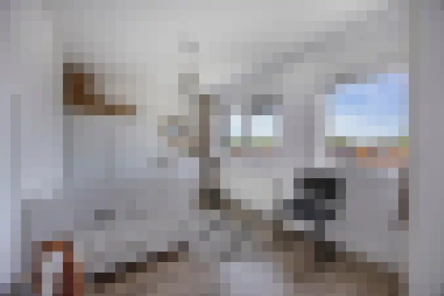 Voorweide 11 Castricum thumbnail 21
