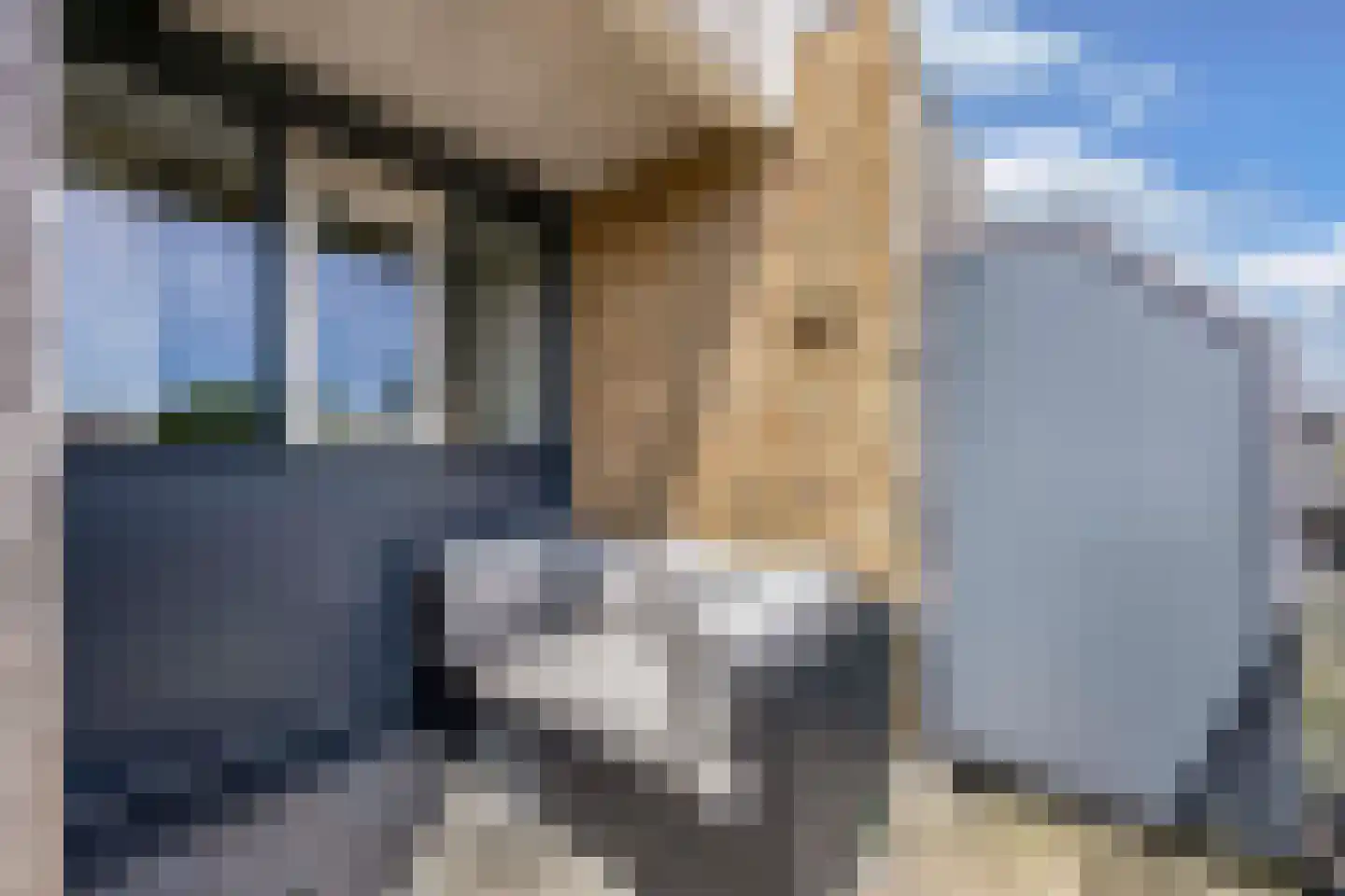 Voorweide 11 Castricum thumbnail 9