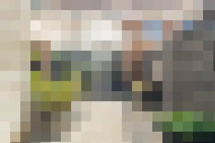 Voorweide 47 Castricum thumbnail 27