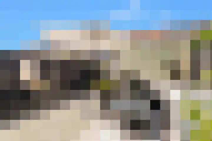 Voorweide 47 Castricum thumbnail 28