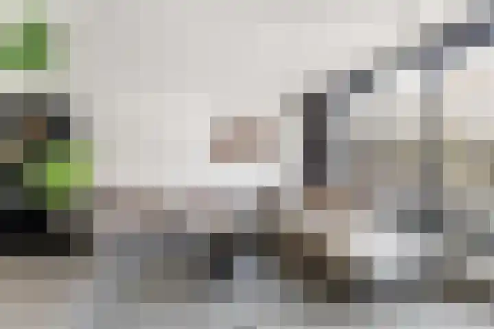 Voorweide 47 Castricum thumbnail 7