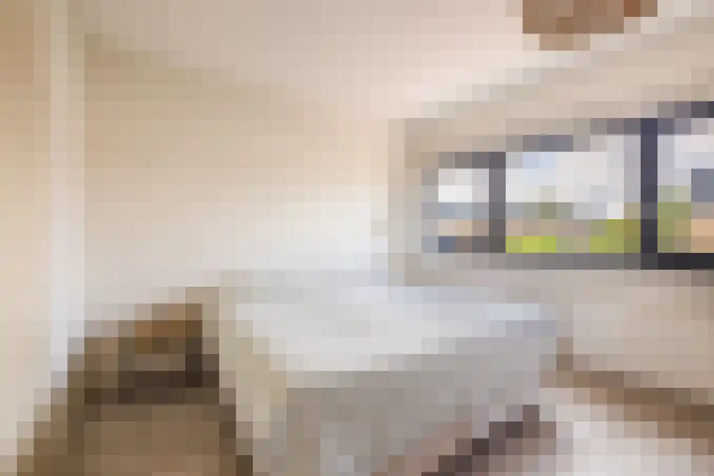 Voorweiden 3 Waalwijk thumbnail 23