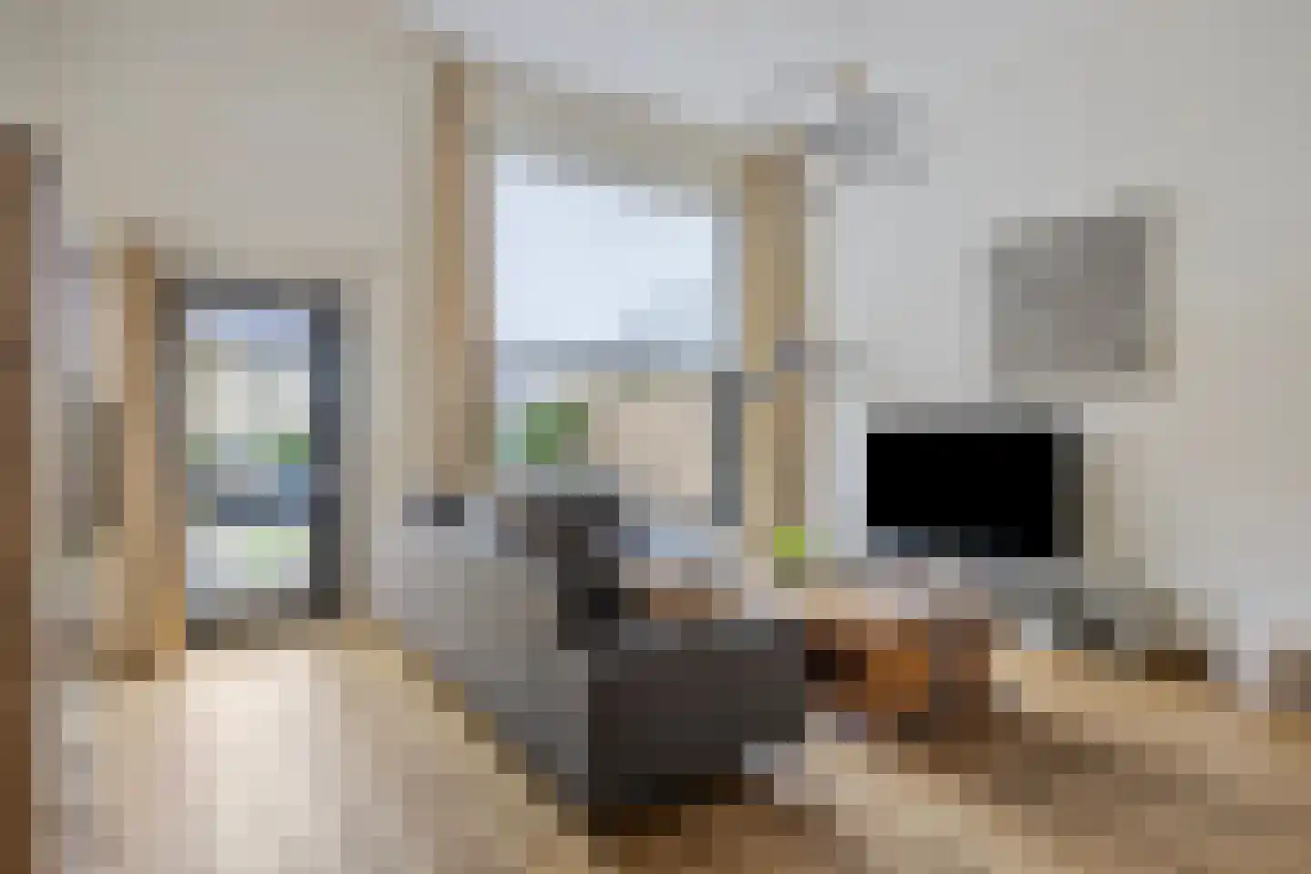 Voorweiden 53 Waalwijk thumbnail 7