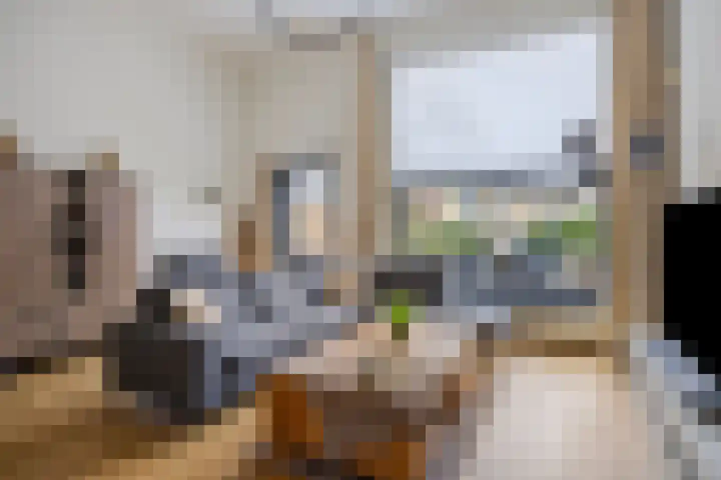 Voorweiden 53 Waalwijk thumbnail 8
